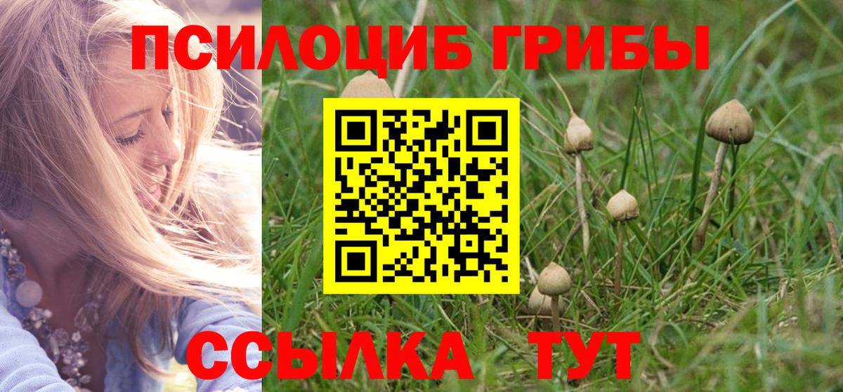 Галлюциногенные грибы мухоморы Лесозаводск