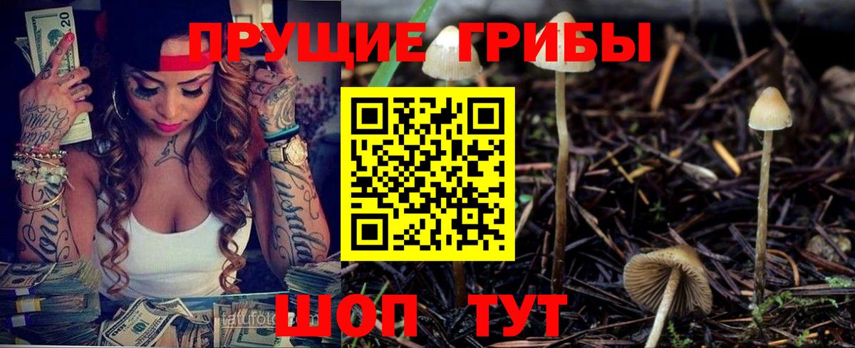 Лесозаводск  Псилоцибиновые грибы MAGIC MUSHROOMS  Псилоцибиновые грибы прущие грибы  Вход с VPN 